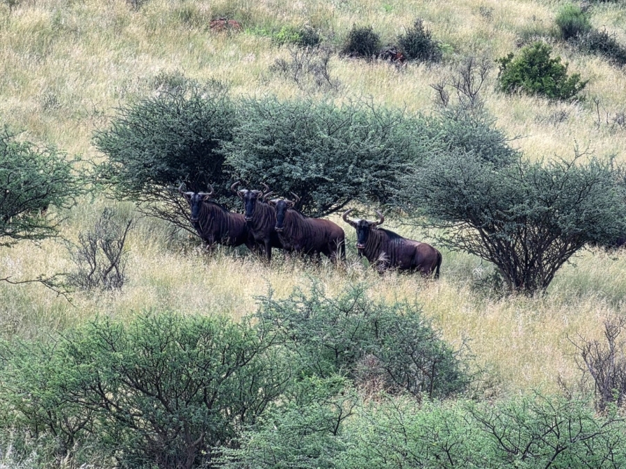 Commercial Property for Sale in Griekwastad Rural Northern Cape